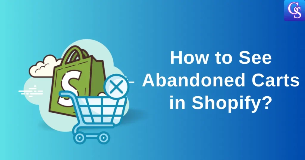 How to See Abandoned Carts in Shopify